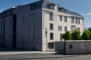 Préparer le retour à la maison après une chirurgie vétérinaire lourde